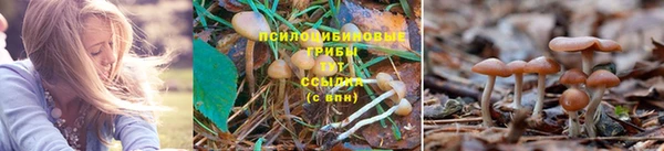 2c-b Алексеевка