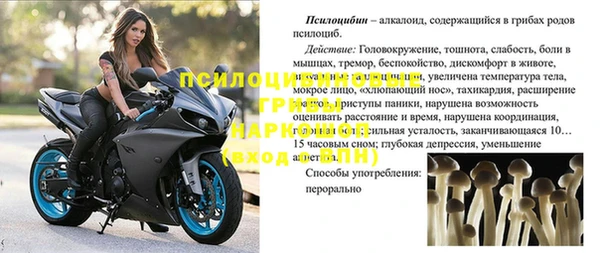 бошки Алексин