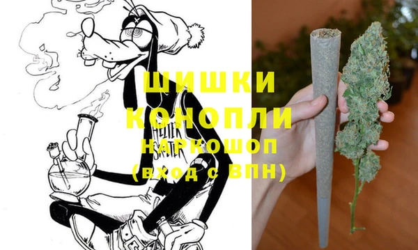 бошки Алексин