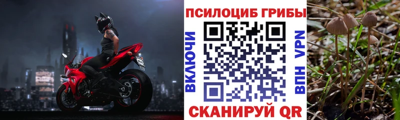 MEGA зеркало Бобров Галлюциногенные грибы ЛСД